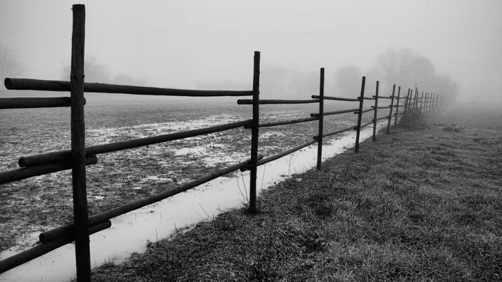 Cerca de arame em um campo tomado pela neblina.